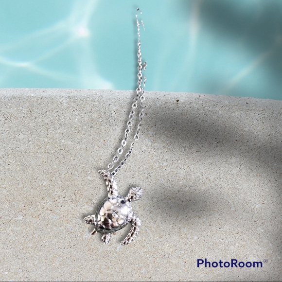 Lulixx Silver Turtle Necklace - Picture 11 of 11
